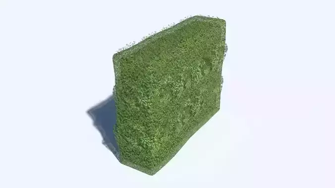 Hedge grass block