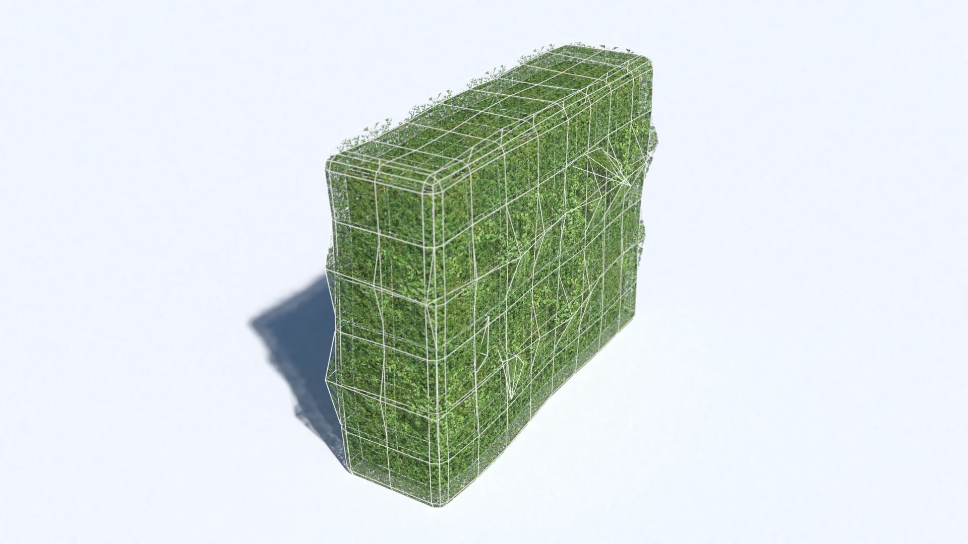 Hedge grass block Low-poly 3D model_1