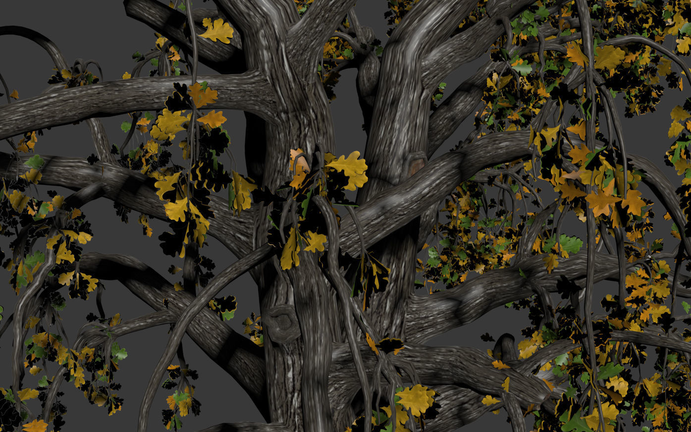 Old oak autumn 3D model_5