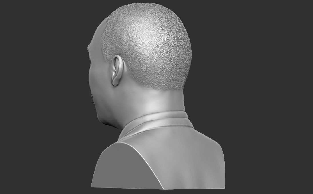 Martin Luther King bust 3D printing ready stl obj formats 3D print model_11