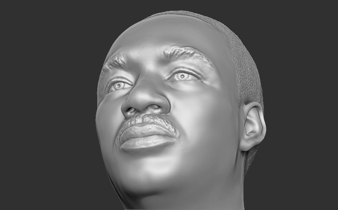 Martin Luther King bust 3D printing ready stl obj formats 3D print model_24