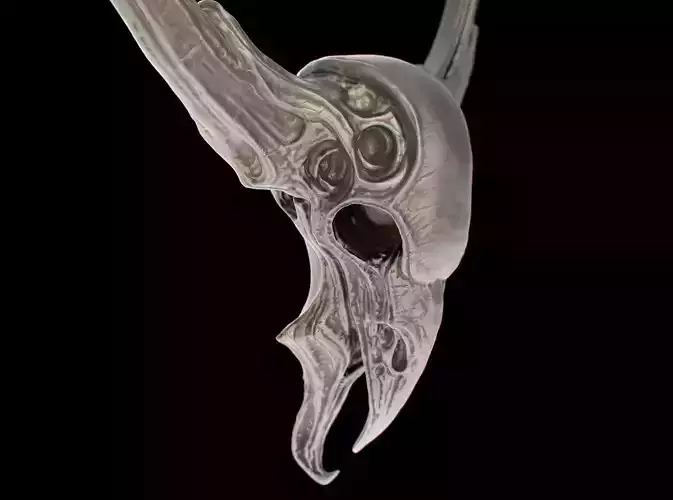 Wall Decor - Bran 3D print model