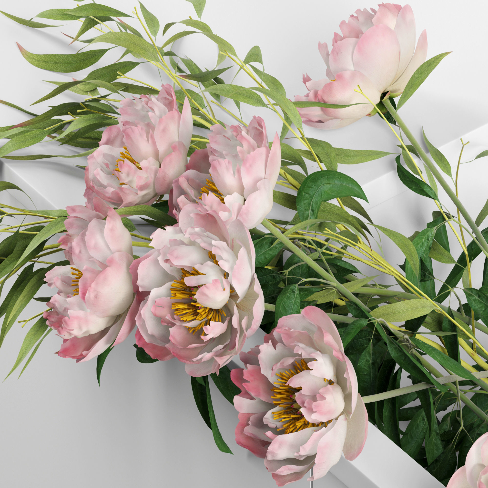 Peonies in sink 3D model_7