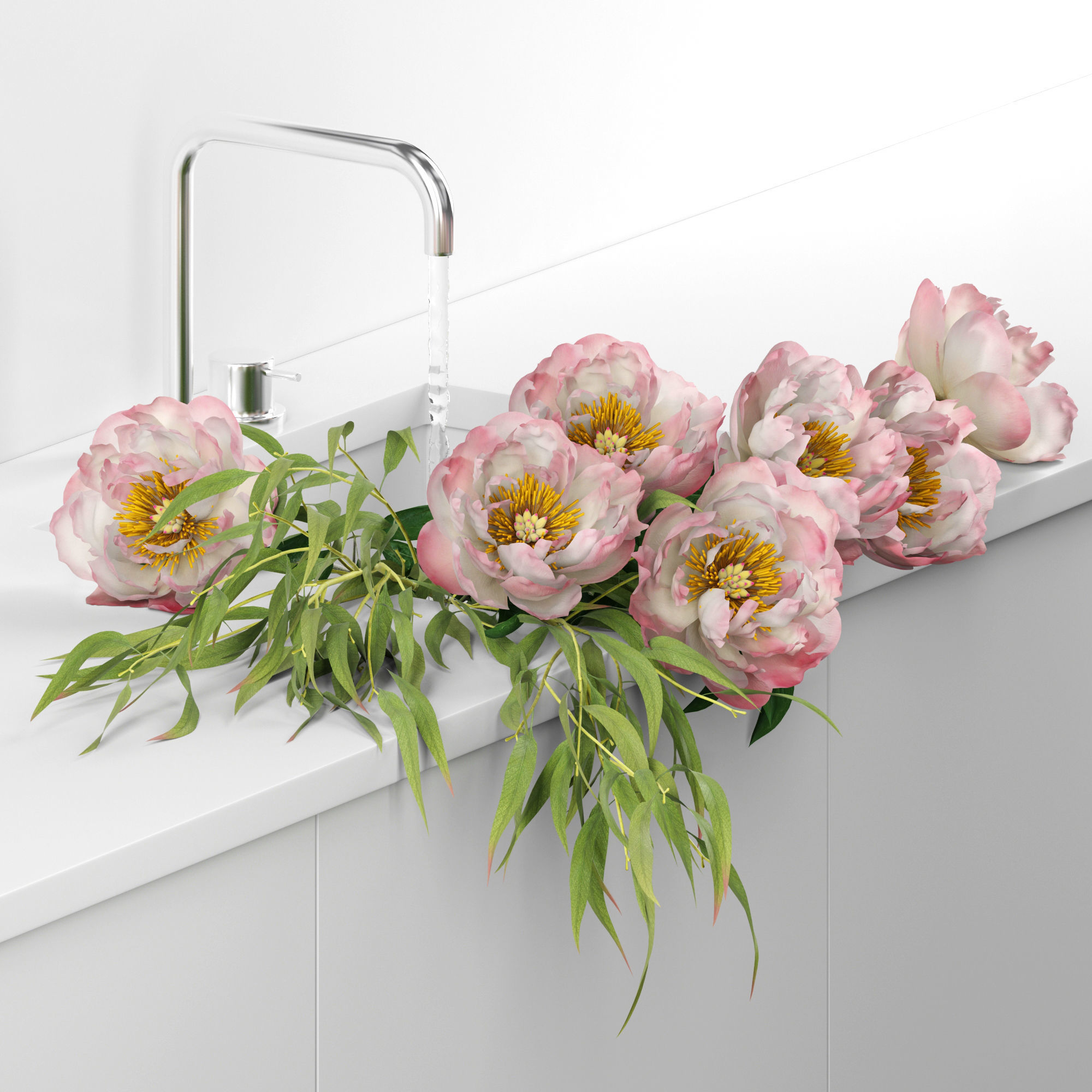 Peonies in sink 3D model_1