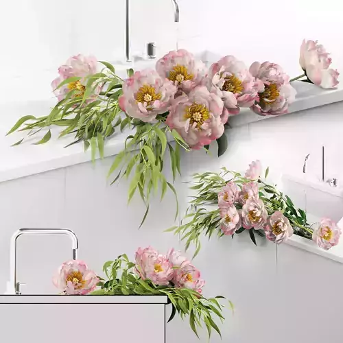 Peonies in sink