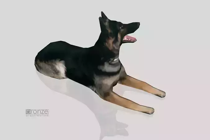 German Shephed dog