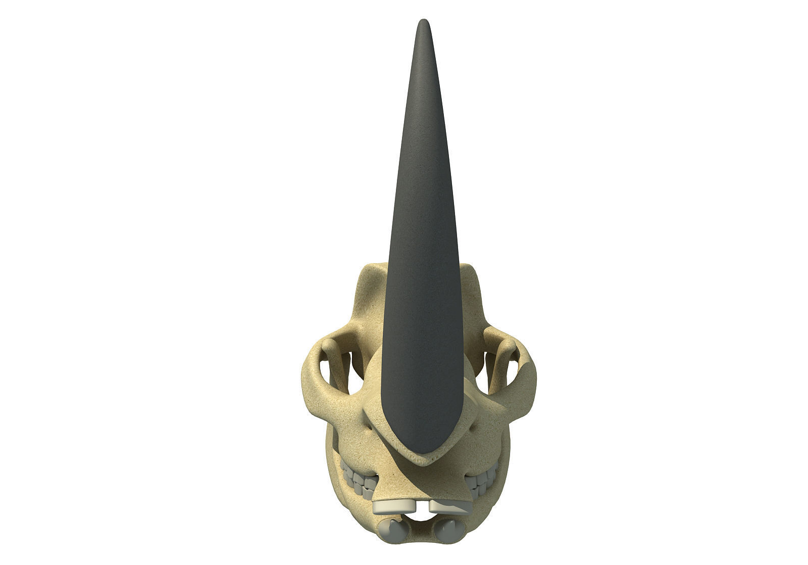Rhino Skull 3D model_9