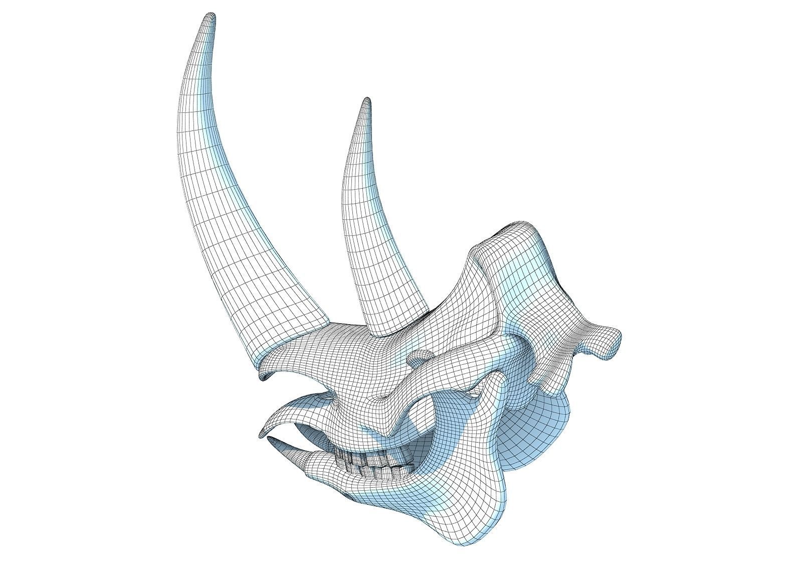 Rhino Skull 3D model_11