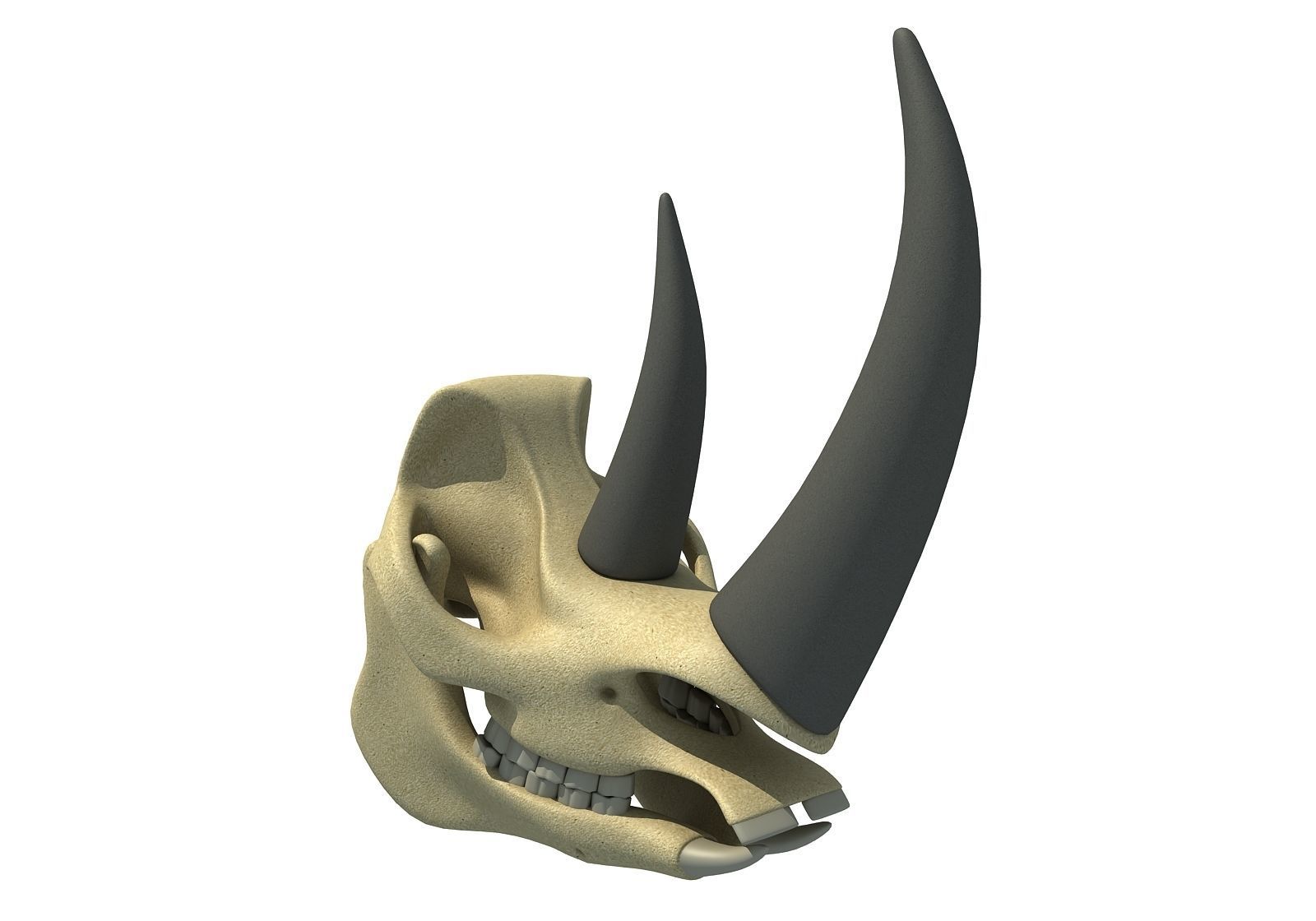 Rhino Skull 3D model_8