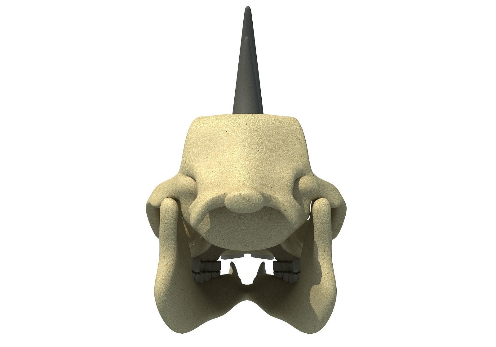 Rhino Skull 3D model_5