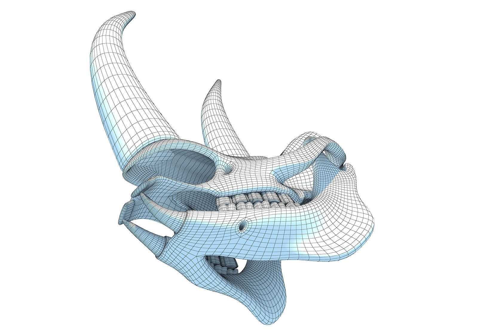 Rhino Skull 3D model_13