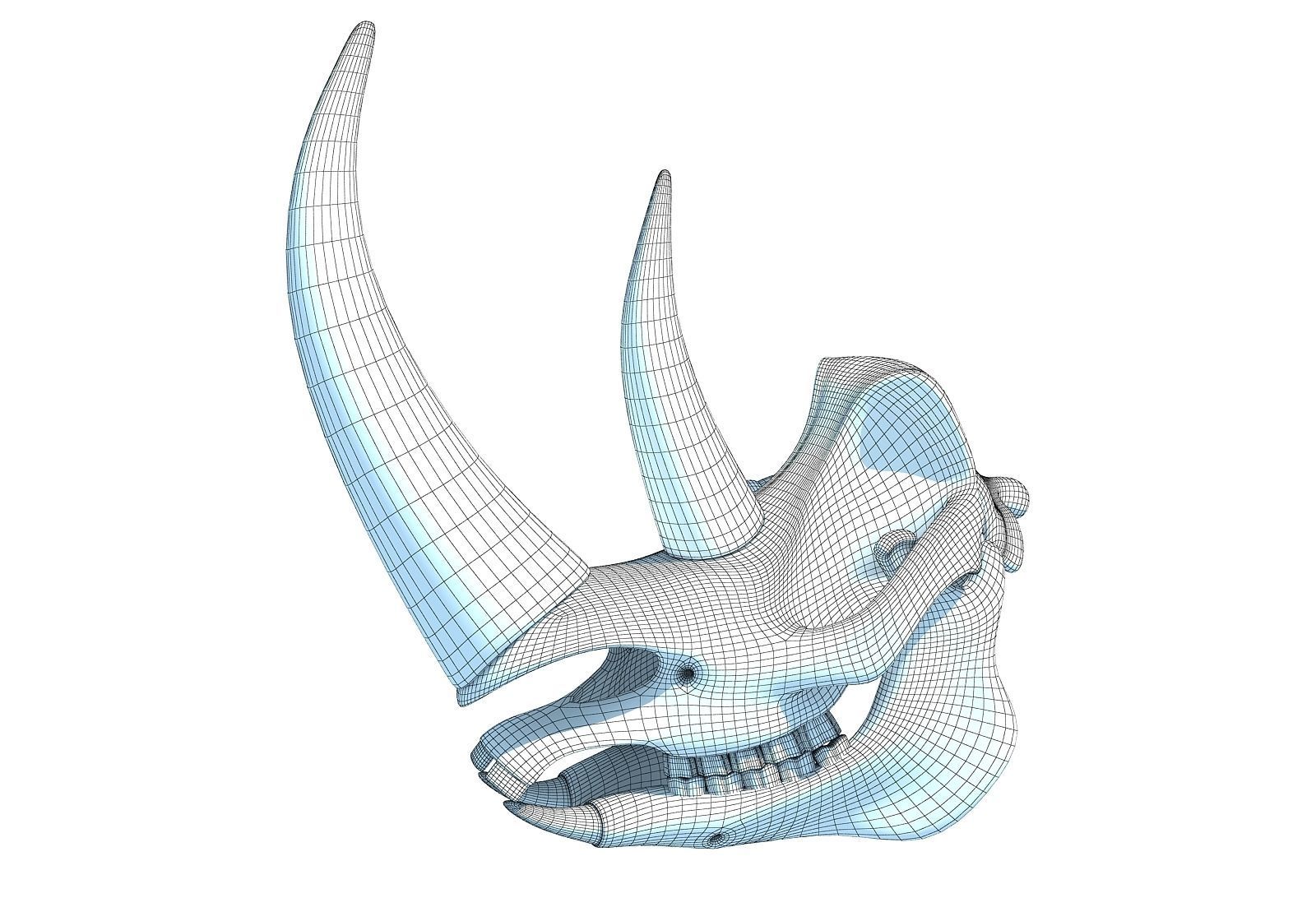 Rhino Skull 3D model_10