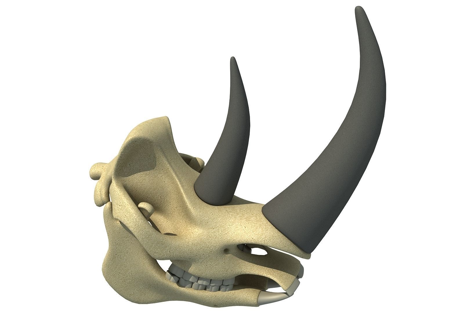 Rhino Skull 3D model_7