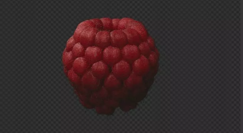 Raspberry Low-poly 3D model_0
