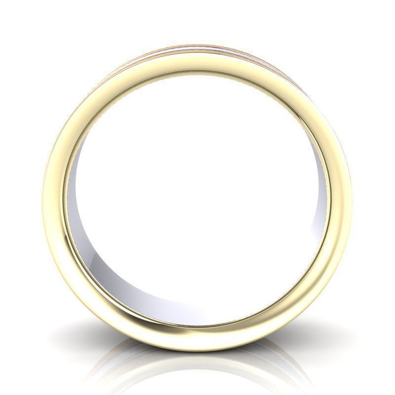 BIC-1 3D print model_4