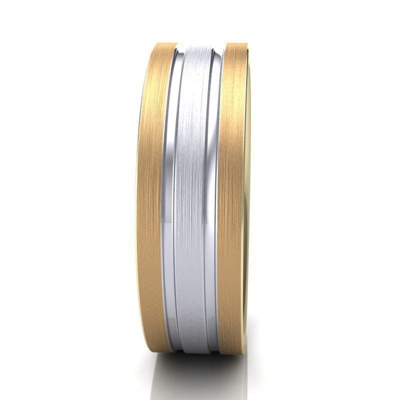 BIC-1 3D print model_6