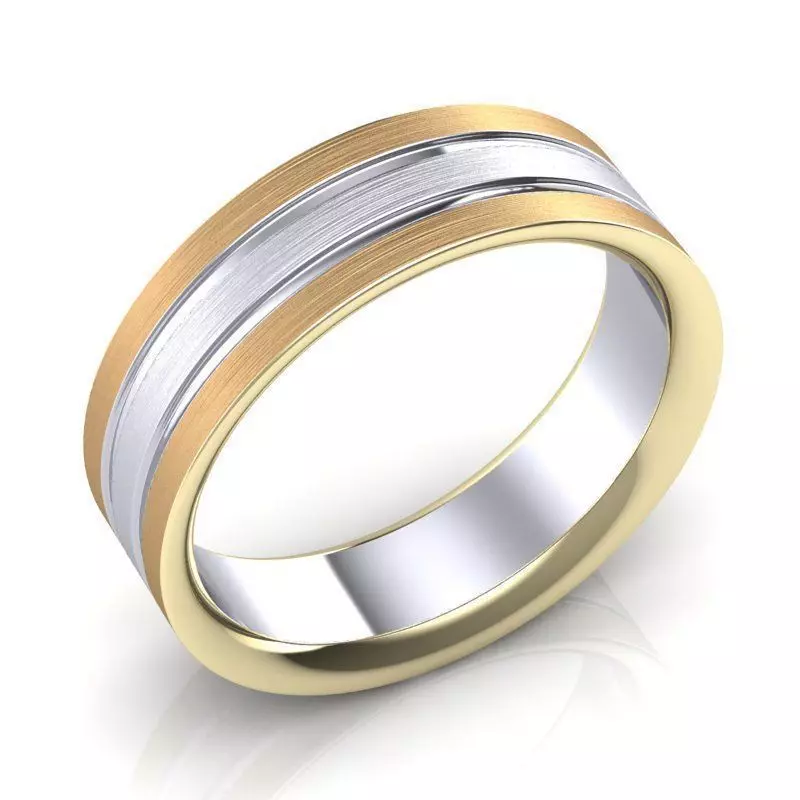 BIC-1 3D print model_0