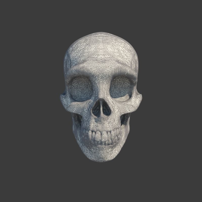Skull Neanderthal 3D model_8