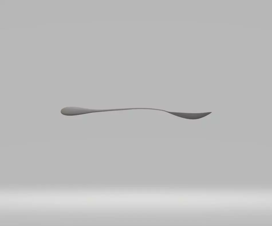 Spoon 4 3D model_0
