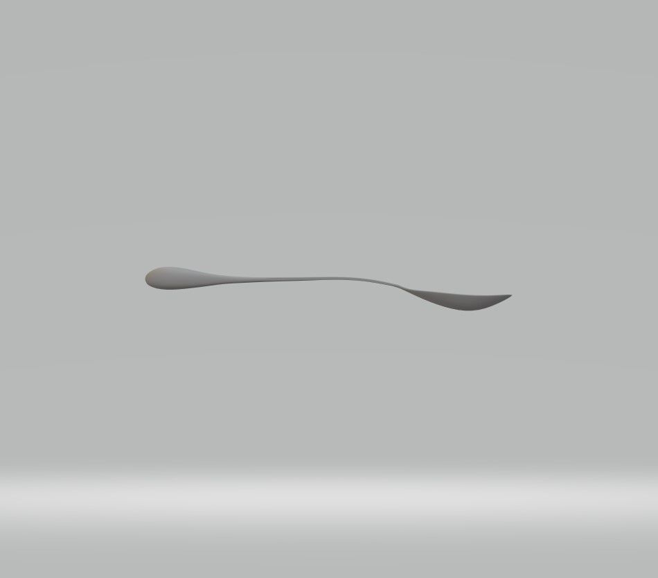 Spoon 5 3D model_1