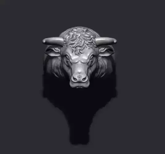 Bull ring 3D print model