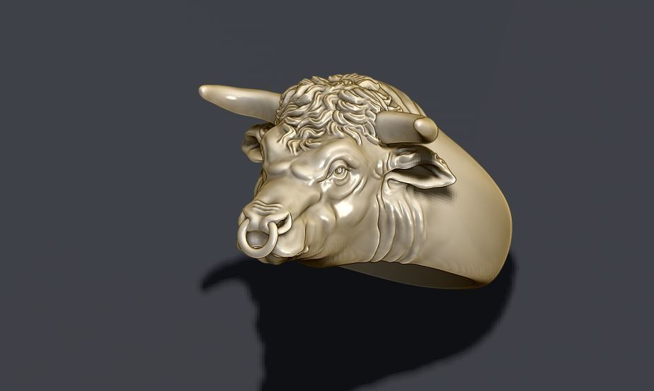Bull ring 3D print model_7