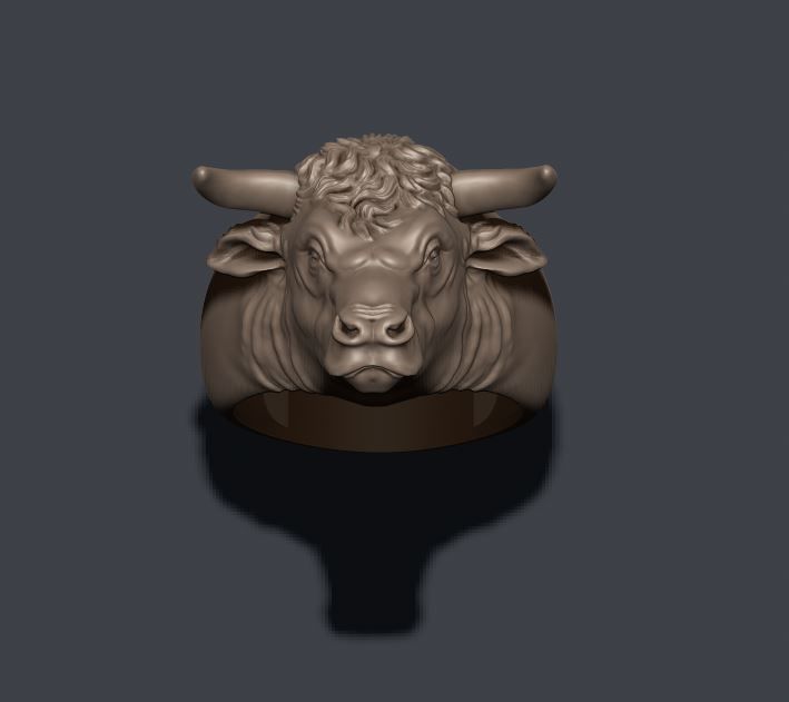 Bull ring 3D print model_6