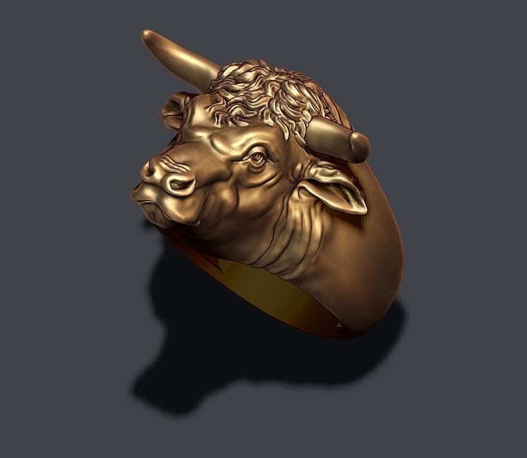 Bull ring 3D print model_4