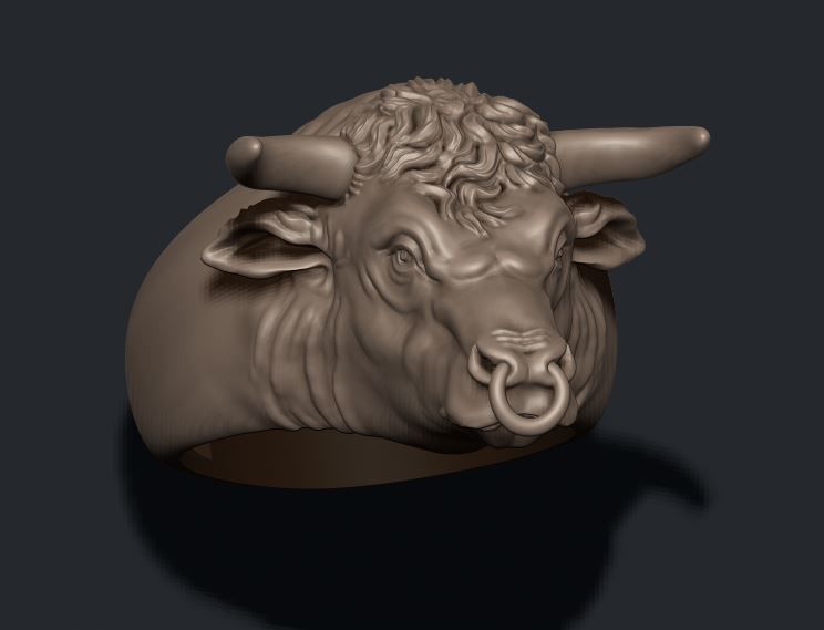 Bull ring 3D print model_5
