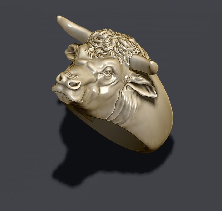 Bull ring 3D print model_3