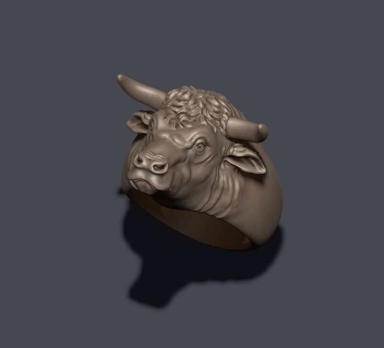 Bull ring 3D print model_1