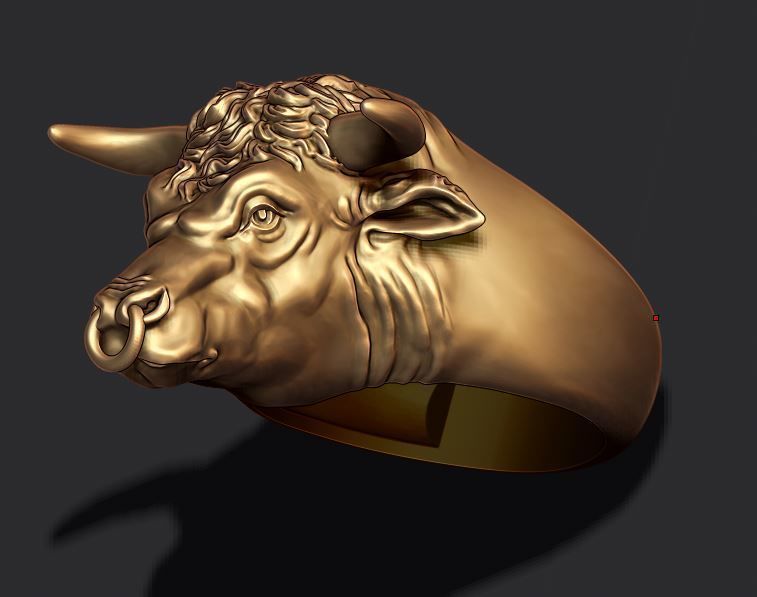 Bull ring 3D print model_2