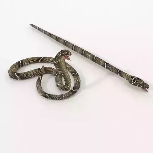  Cobra Snake Low-poly 3D model