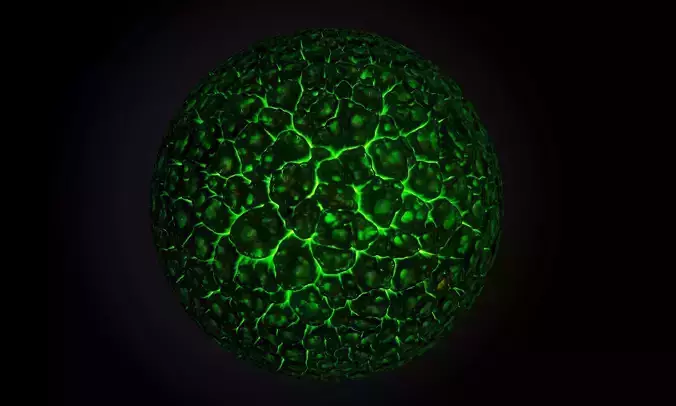 Science Fiction Rock SEAMLESS PBR Texture