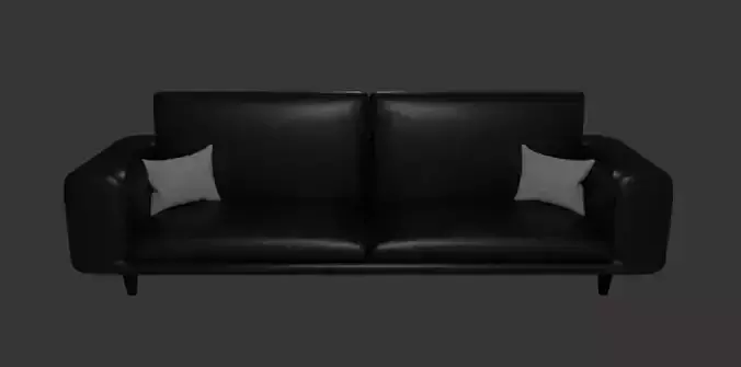 Leather Couch