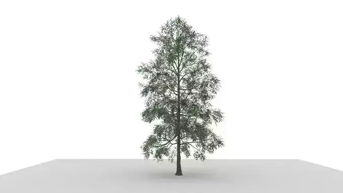  Ultra Realistic Trees