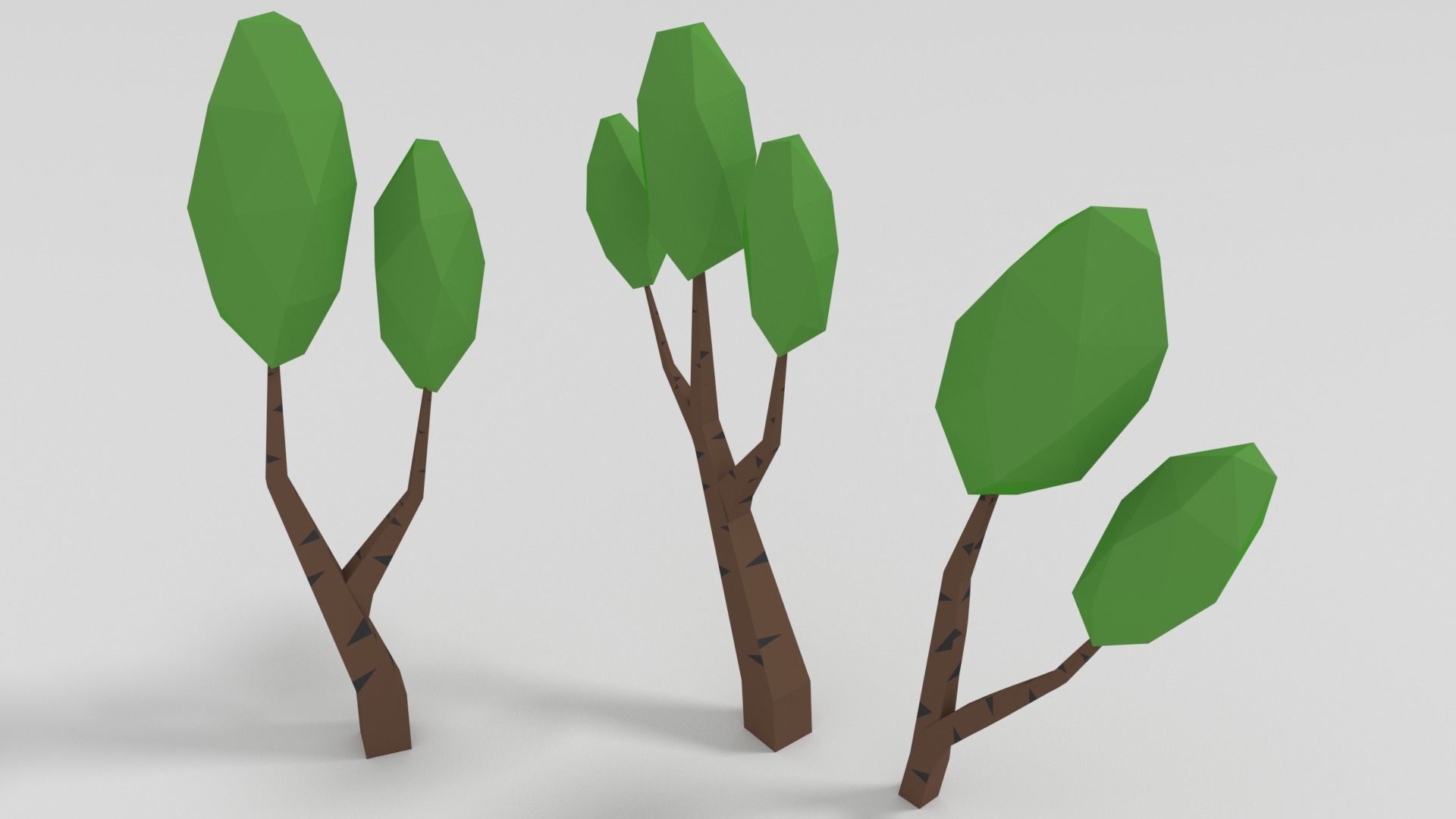 Birch Tree Low-poly 3D model_6