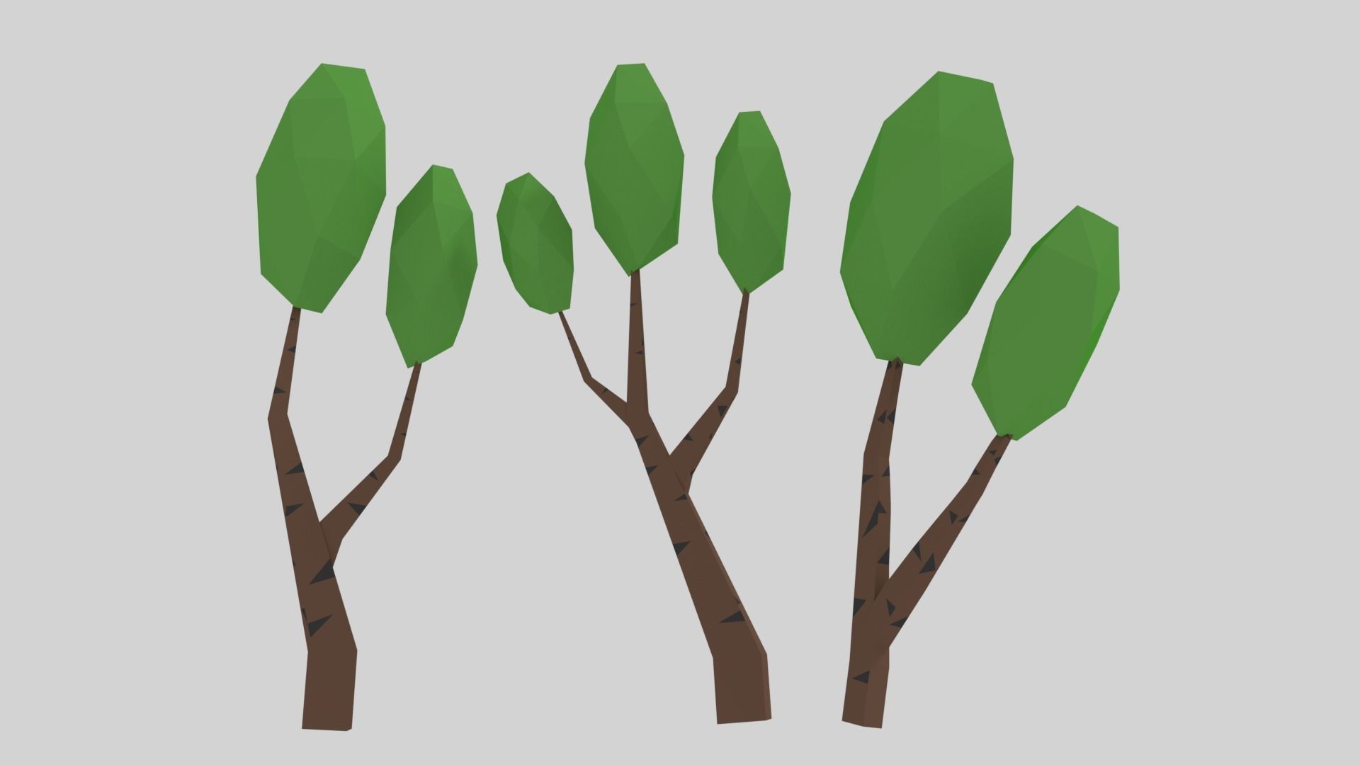 Birch Tree Low-poly 3D model_2