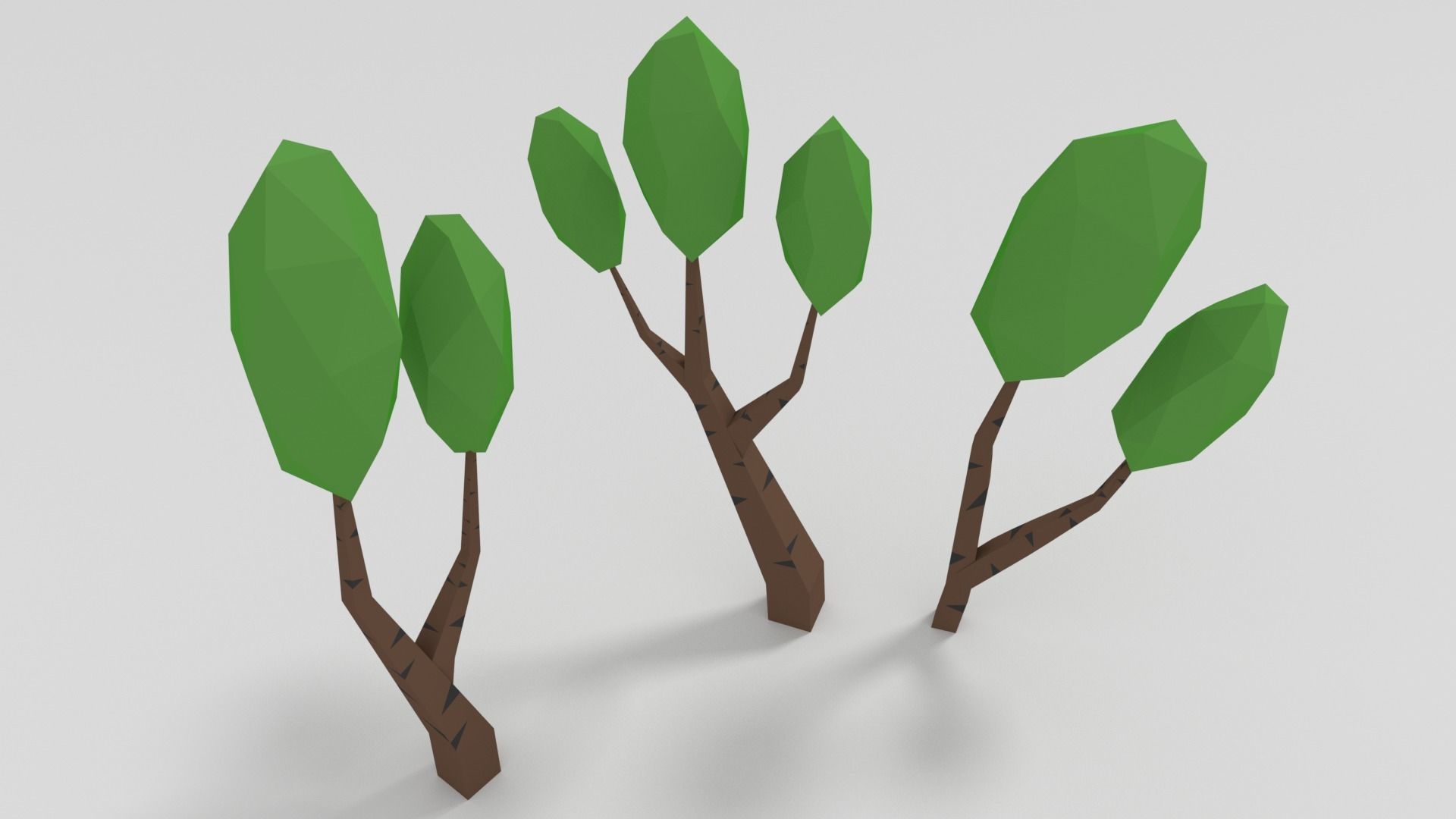 Birch Tree Low-poly 3D model_4
