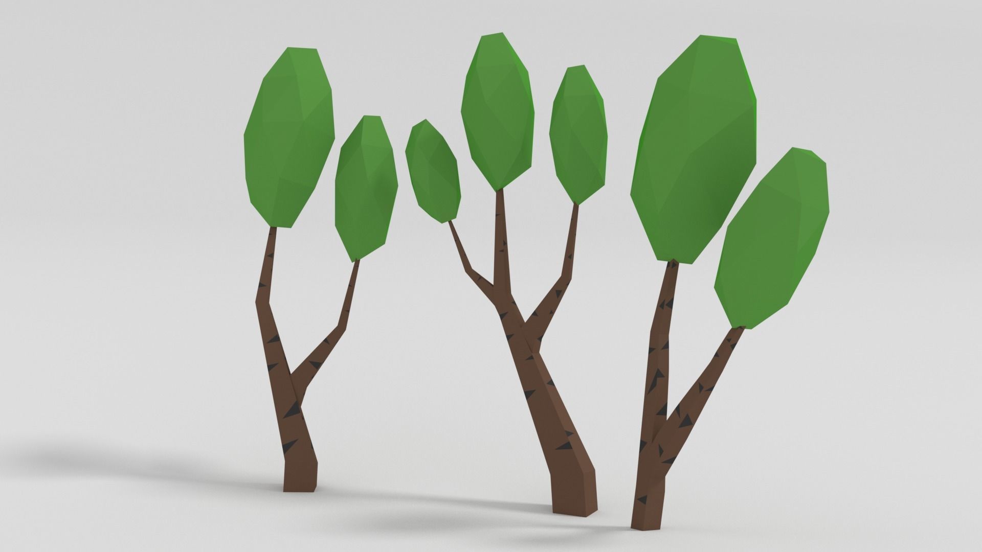 Birch Tree Low-poly 3D model_7