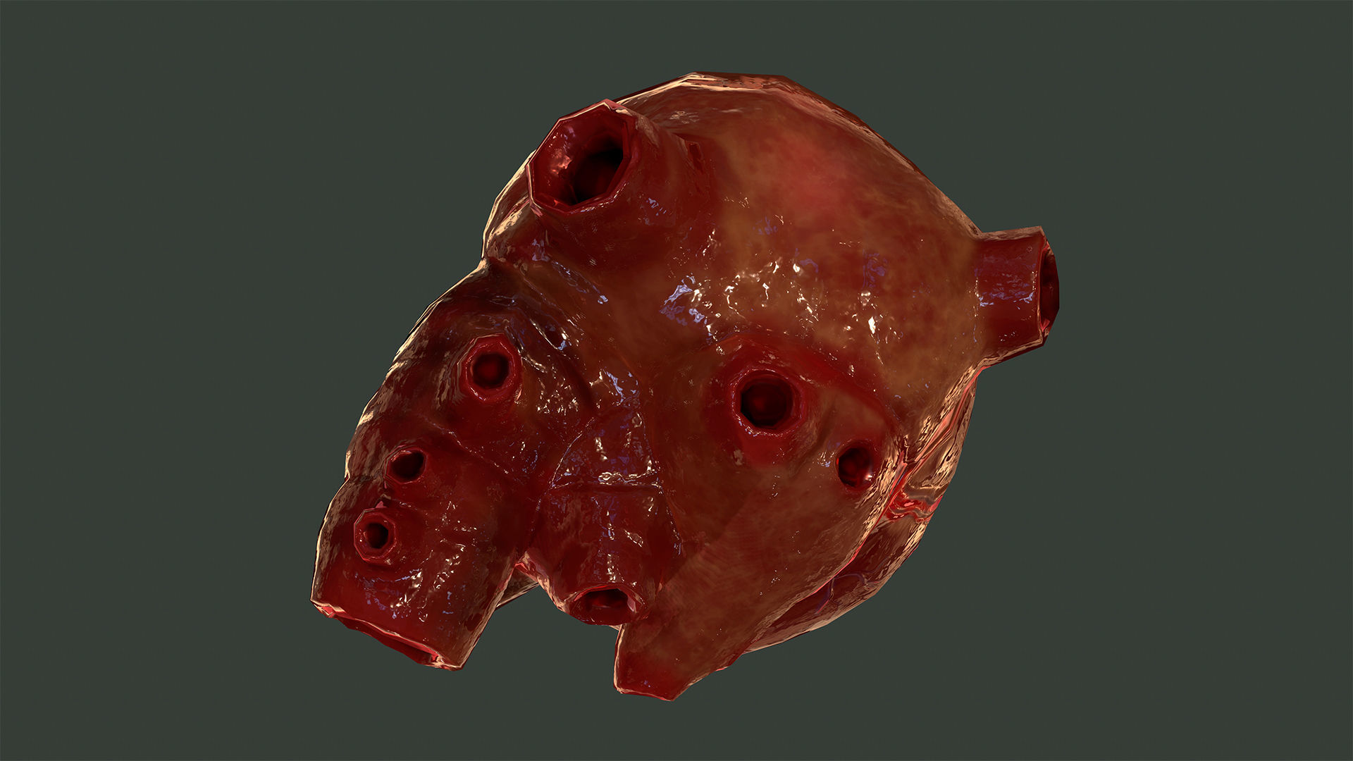 Internal Organs Collection Low-poly 3D model_5