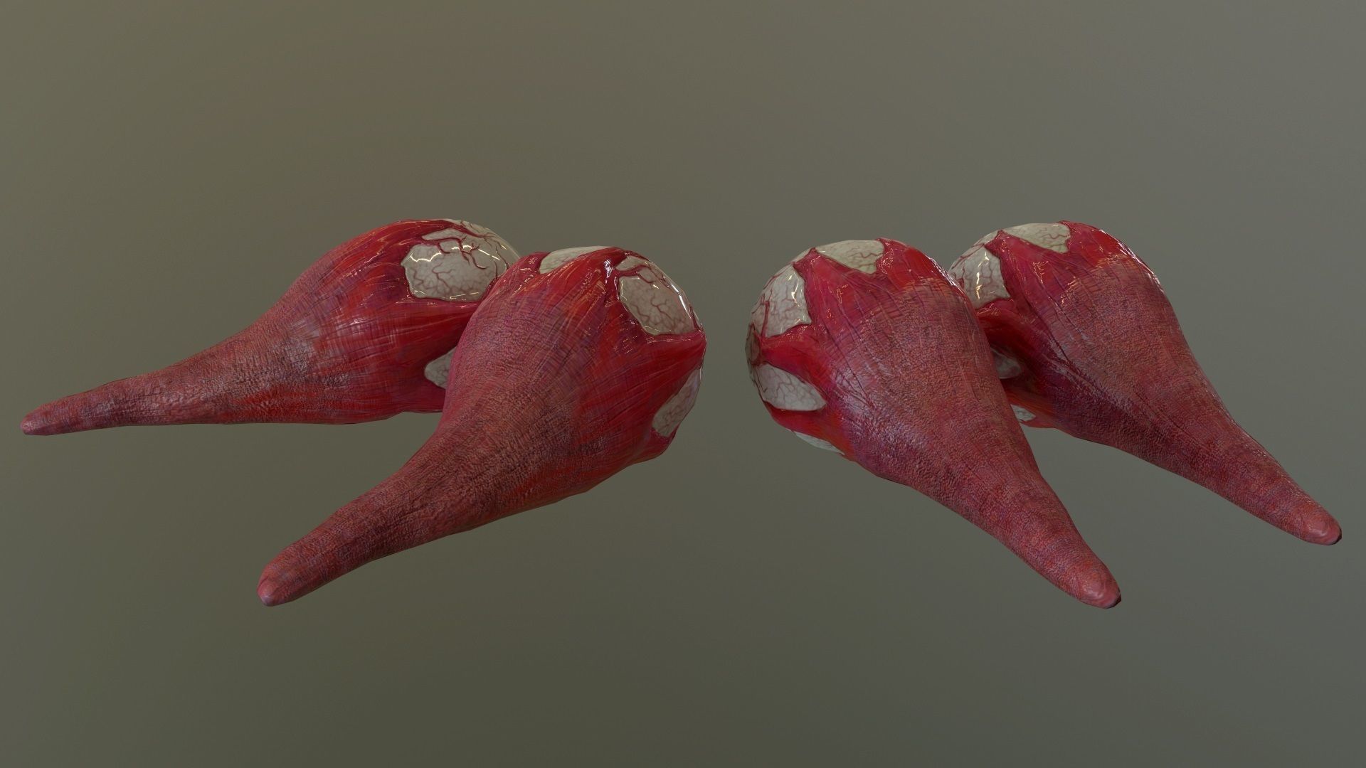 Internal Organs Collection Low-poly 3D model_14