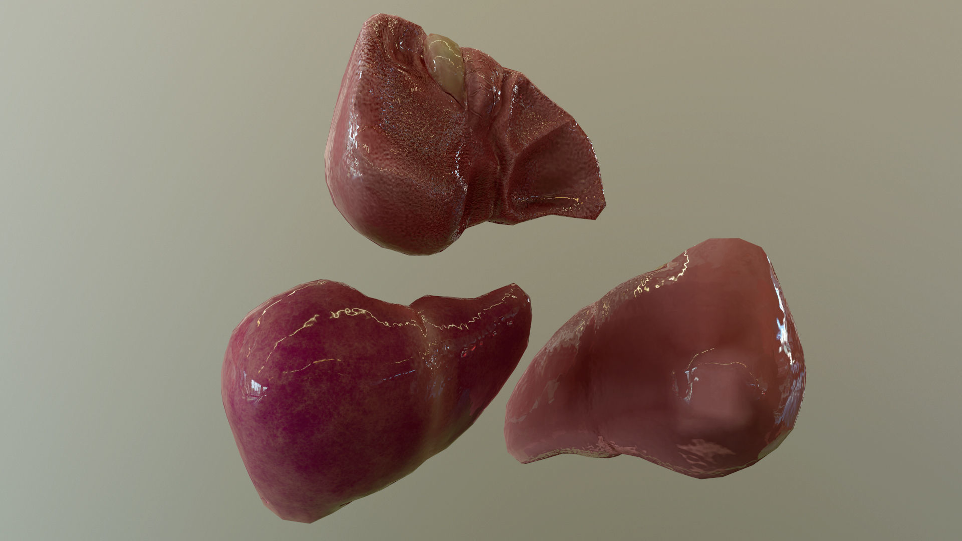 Internal Organs Collection Low-poly 3D model_15