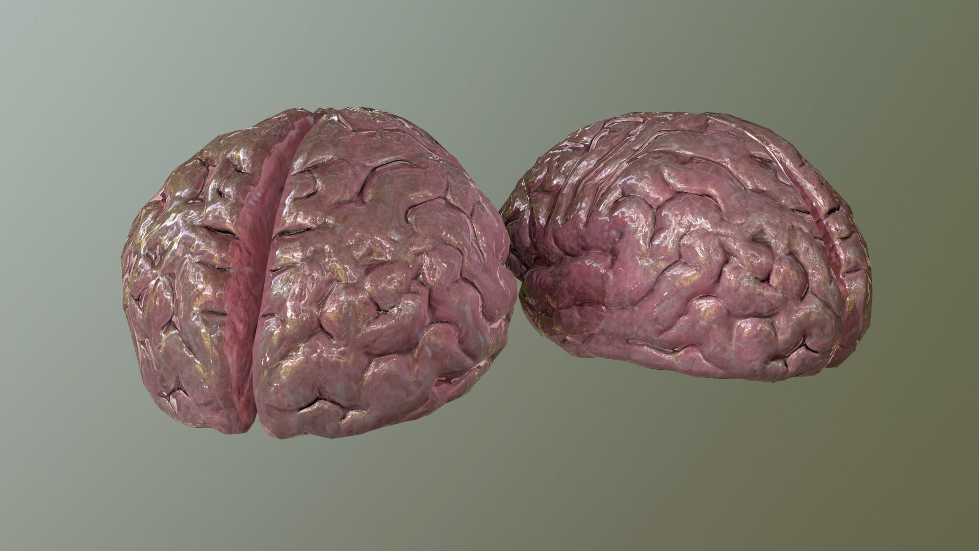 Internal Organs Collection Low-poly 3D model_8