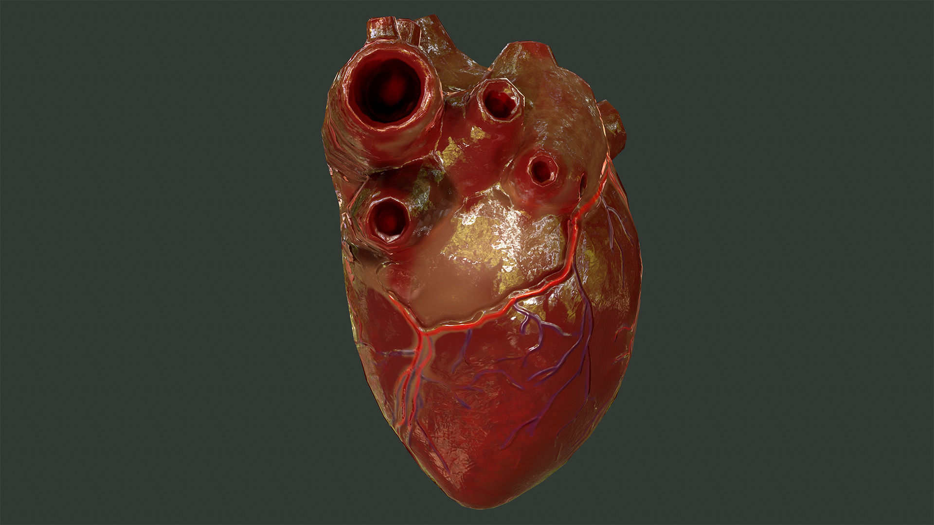 Internal Organs Collection Low-poly 3D model_4