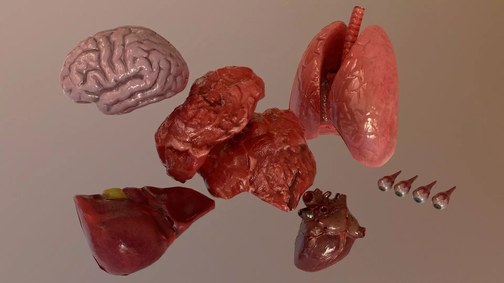Internal Organs Collection Low-poly 3D model_0