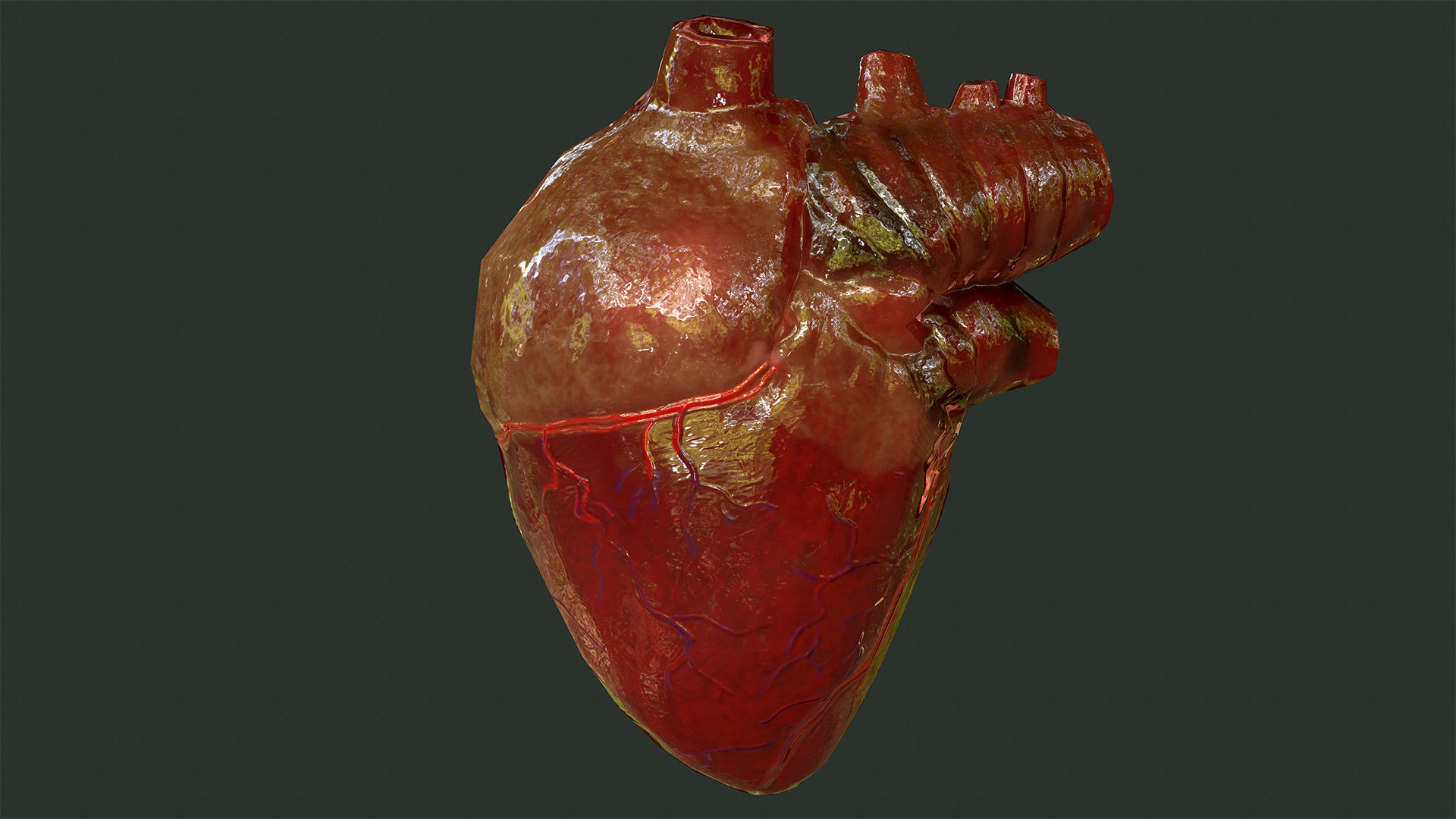 Internal Organs Collection Low-poly 3D model_3
