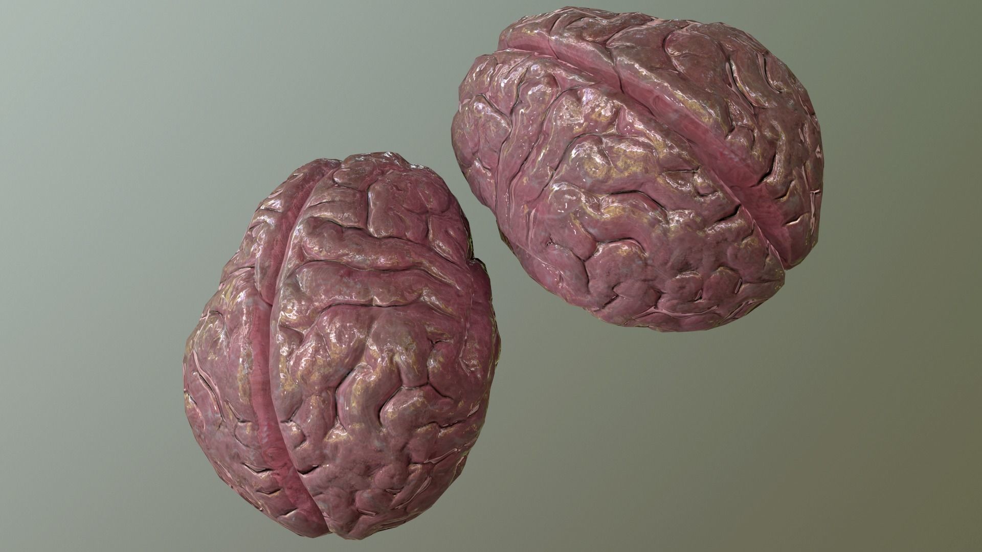 Internal Organs Collection Low-poly 3D model_9