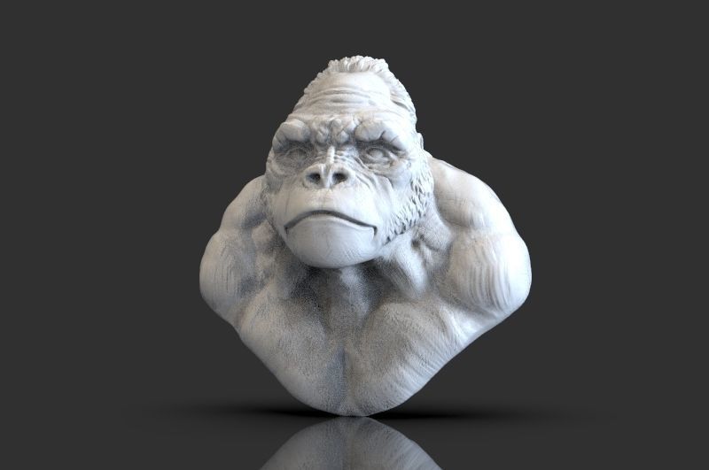 Bust of Garilla  3D print model_3