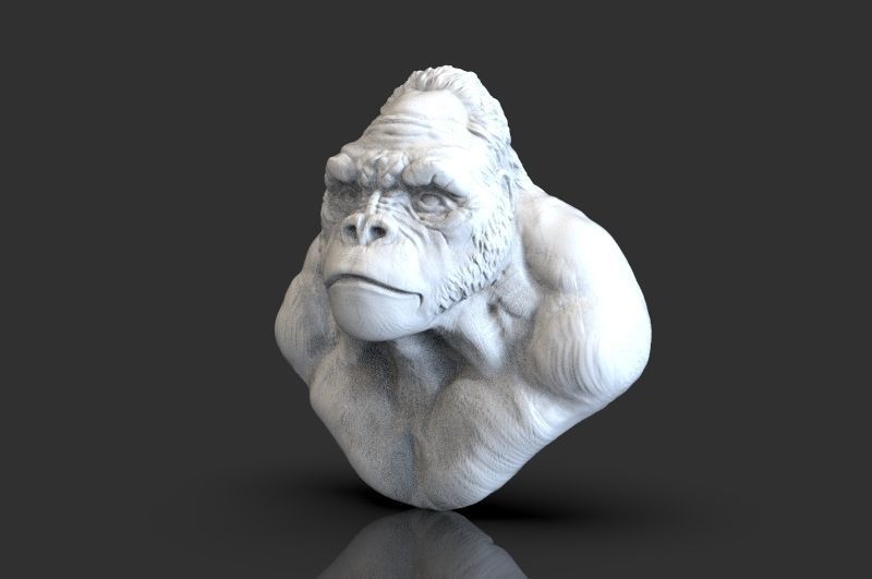 Bust of Garilla  3D print model_4